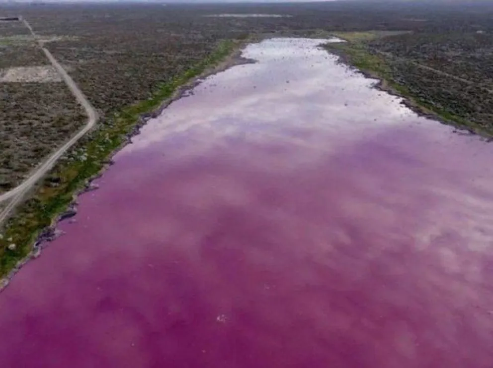 Una laguna se tiñó de rosa en Chubut por desechos industriales
