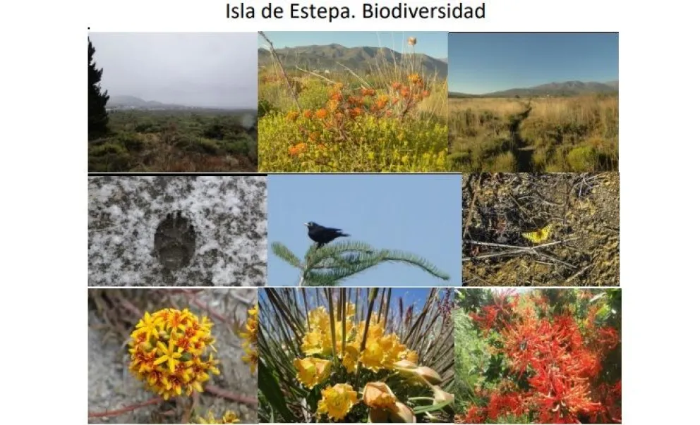 Parque Municipal de la Estepa Bariloche
