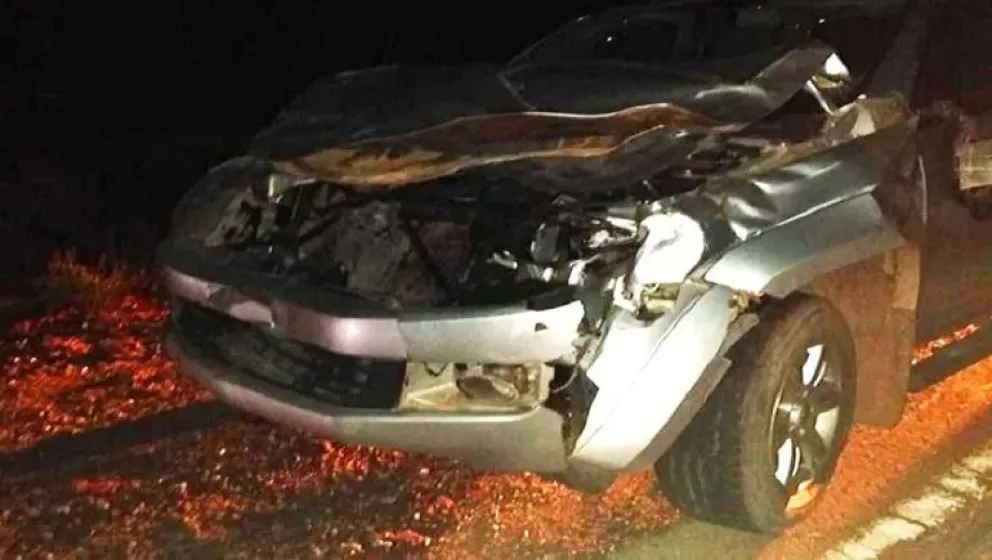 Chocaron un caballo en la Ruta de los Siete Lagos