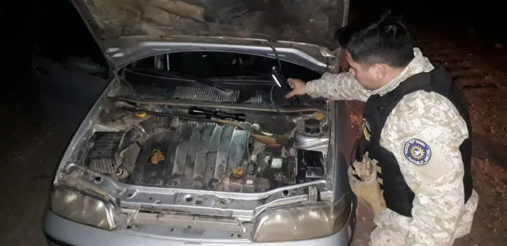 Cazaron un ciervo con un arma que ocultaron en el motor del vehículo