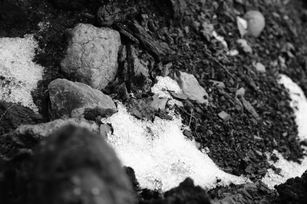 Daniel Welschinger, eterno diamante de agua