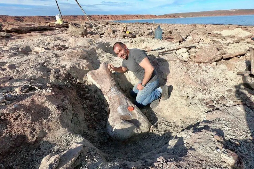Encuentran restos de un dinosaurio de 90 millones de años por la bajante de un lago