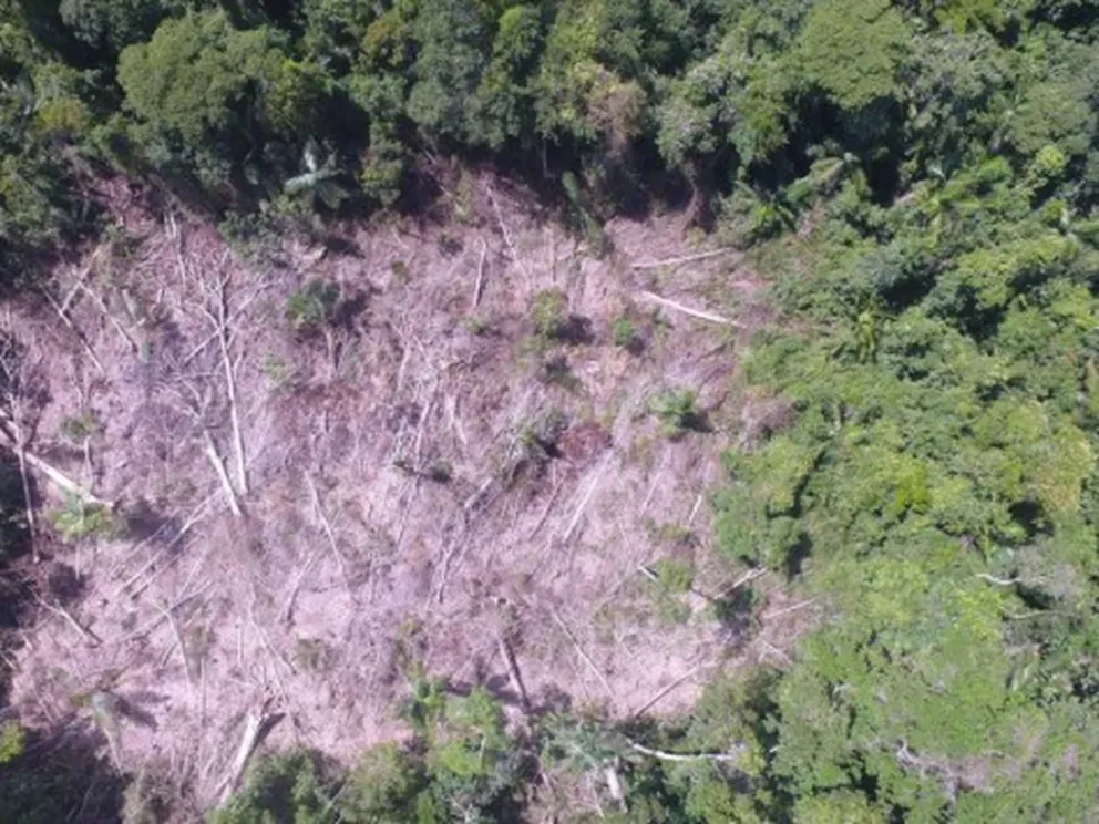 Fuertes multas para combatir la ilegalidad 