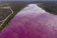 La conflictiva historia detrás de la imagen de la laguna teñida de rosa que recorrió el mundo 