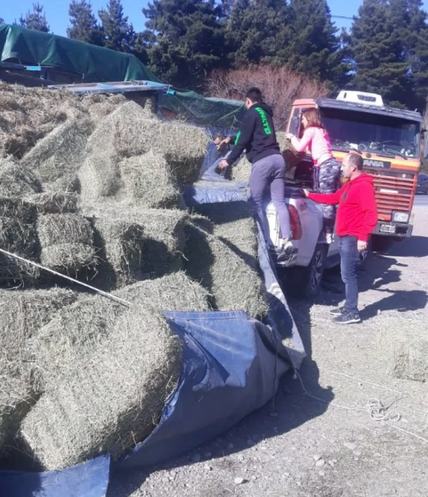 Volcó un camión Scania que transportaba fardos de pasto
