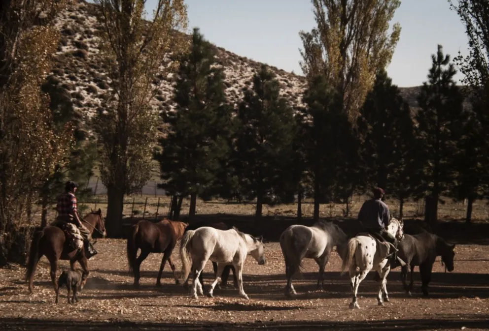 Un imperdible este invierno: cabalgata por los senderos patagónicos