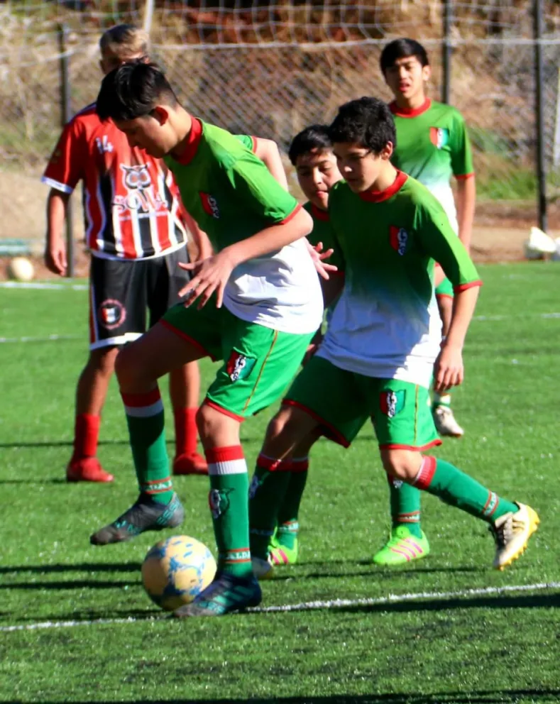 La AFIB dio el puntapié inicial en su regreso