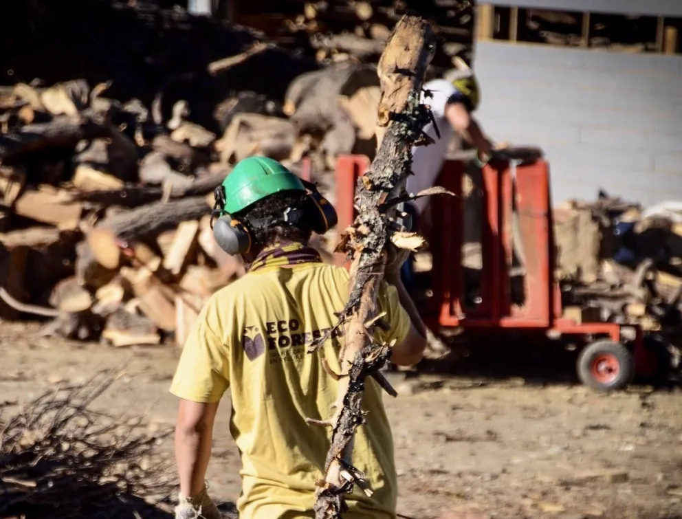 Eco Forestal y el valioso trabajo de transformar residuos en recursos 