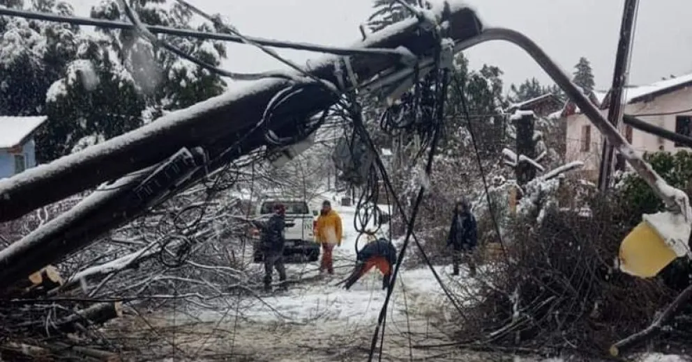 Un peligro: los cables de luz quedaron sobre la calle