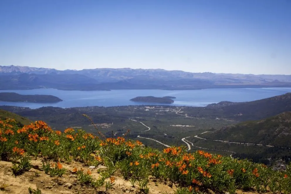 Bariloche y sus leyendas: la flor del Amancay