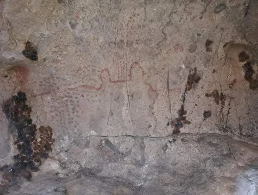 Pinturas en la piedra