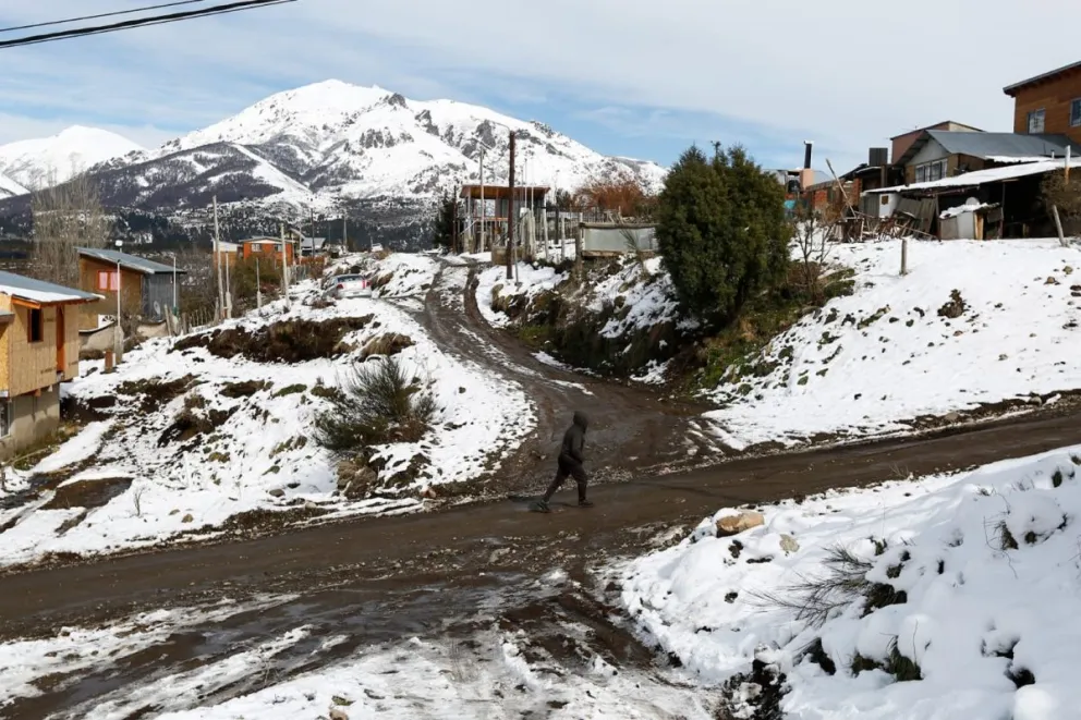 Tres perros le provocaron heridas graves a una mujer en Nuestras Malvinas