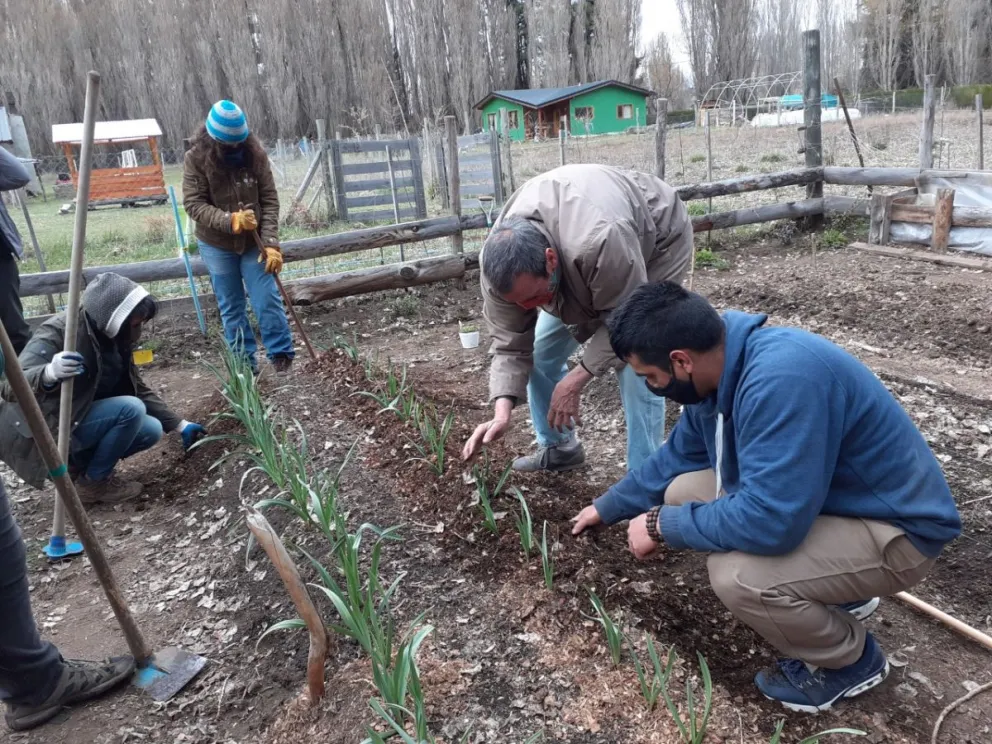 Curso de huerta agroecológica en la región del Nahuel Huapi