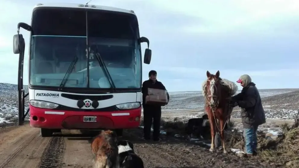 Vuelve el transporte público de pasajeros entre Roca y Bariloche por la Región Sur
