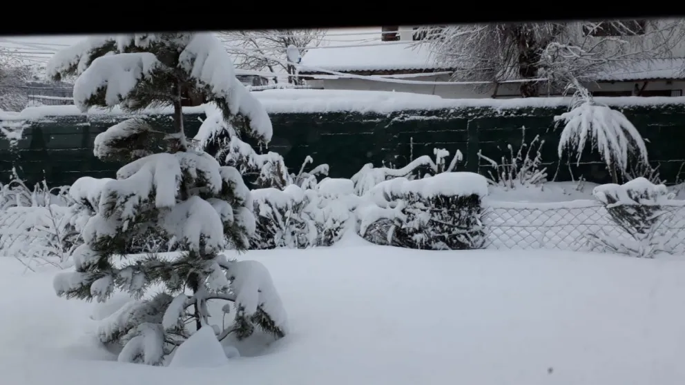 ¿Cómo está tu barrio con la nevada?