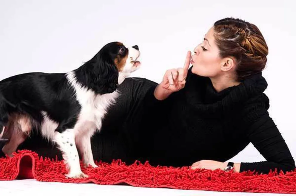 Prestá atención: ¿cuáles son las 5 razas de perros que más ladran?