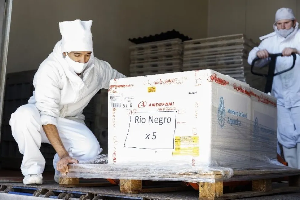 Río Negro recibe 33.000 dosis de Sinopharm para el grupo de entre 3 y 11 años