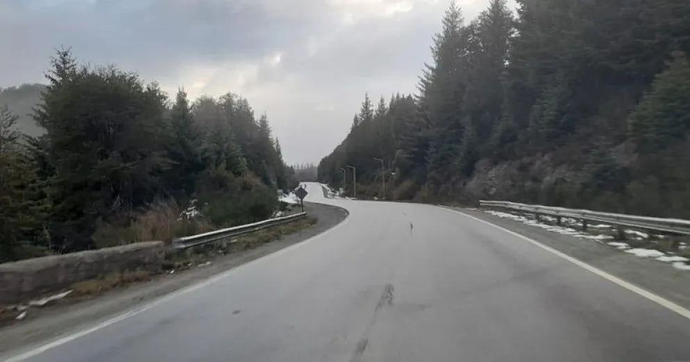 Se puede transitar con precaución entre Bariloche y El Bolsón