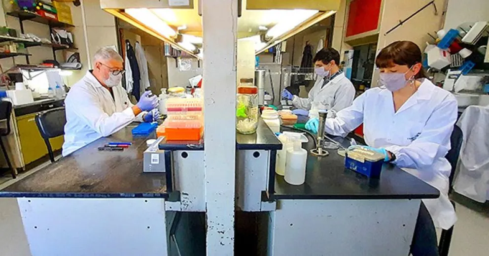 Vacuna argentina experimental contra el COVID-19 recibirá un importante subsidio