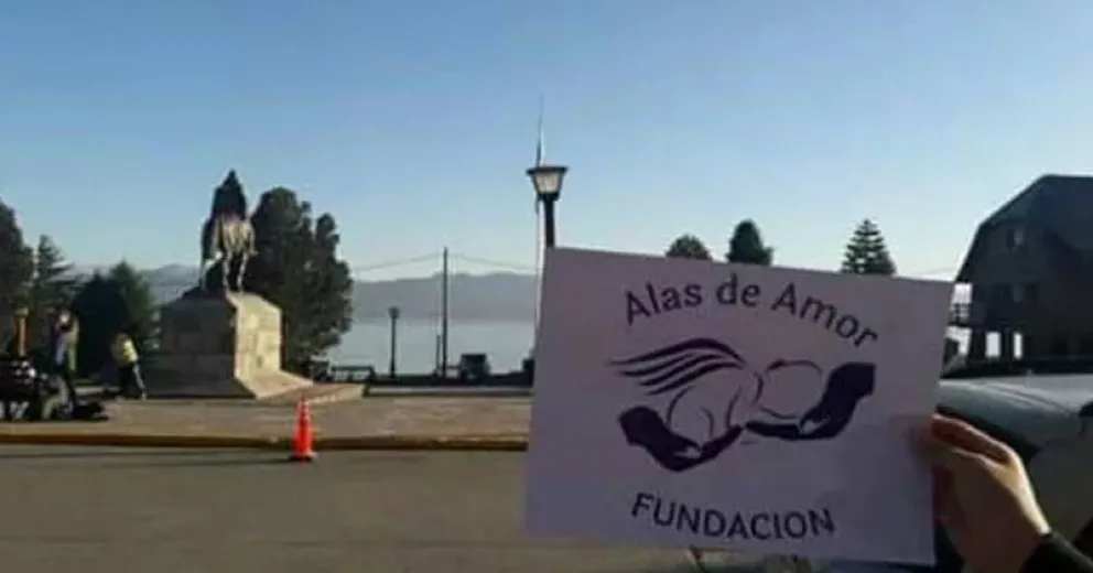 Protocolos de atención en caso de muertes gestacionales y perinatales