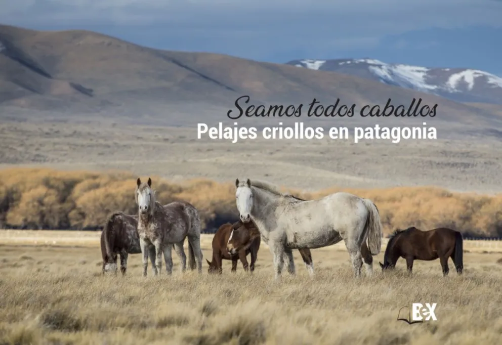 “Seamos todos caballos. Pelajes criollos en Patagonia”