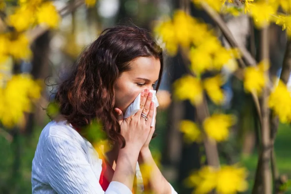 Llegó la primavera y con ella las alergias: cómo diferenciarlas del Covid-19