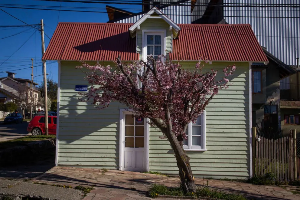 Volver en cada primavera