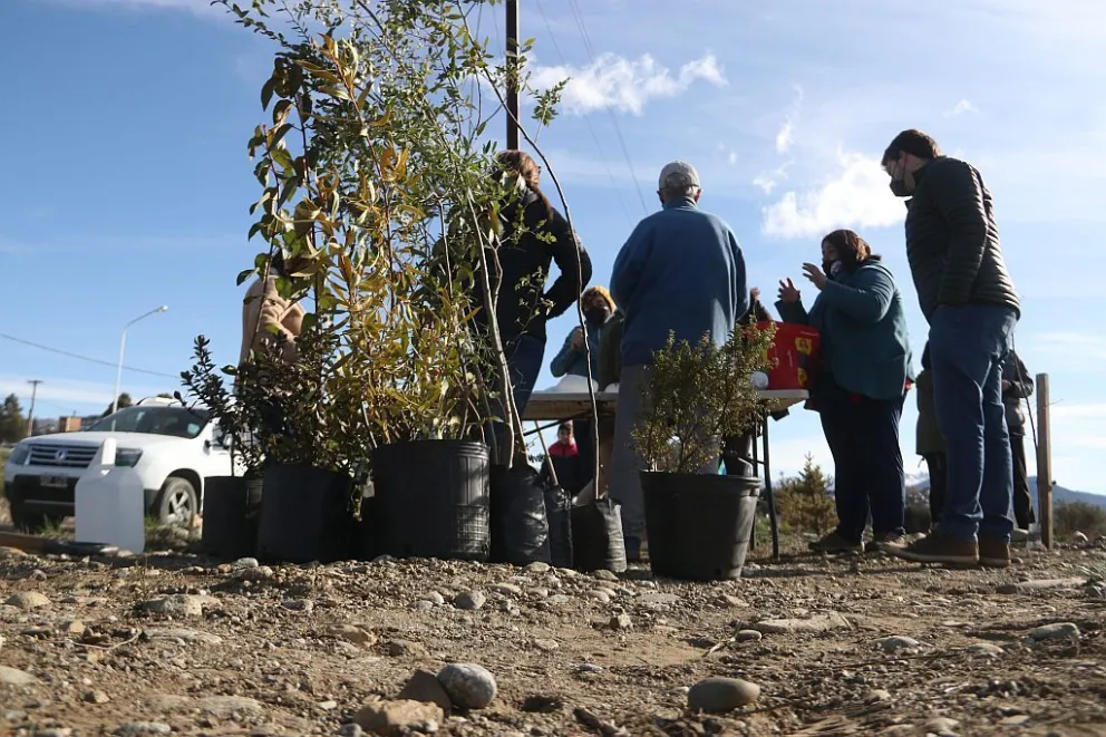 La agrupación Alas de Amor plantó árboles en su futura plaza