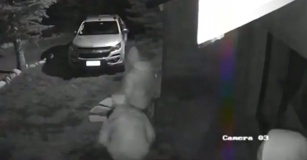 VIDEO: Así llegaban y se iban los violentos ladrones del barrio privado  