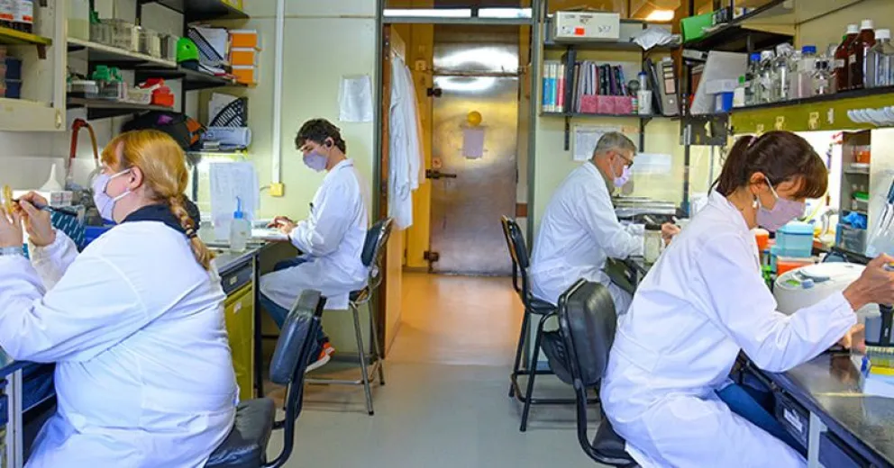Estudio confirma que una vacuna argentina en desarrollo contra COVID-19 neutraliza a las variantes virales