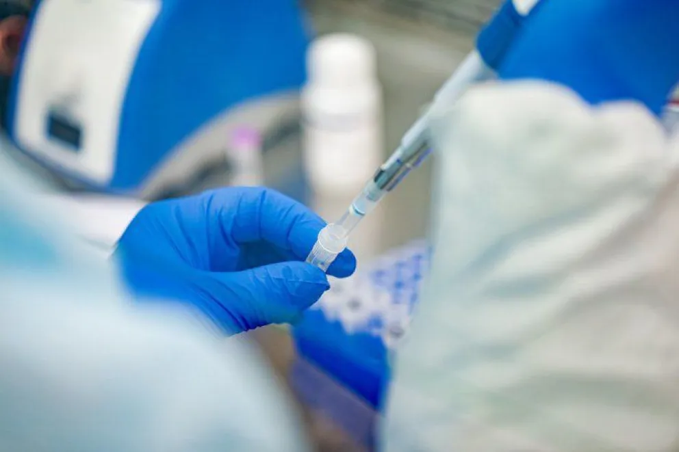 Avance científico: Desarrollan una píldora para curar los casos graves de coronavirus