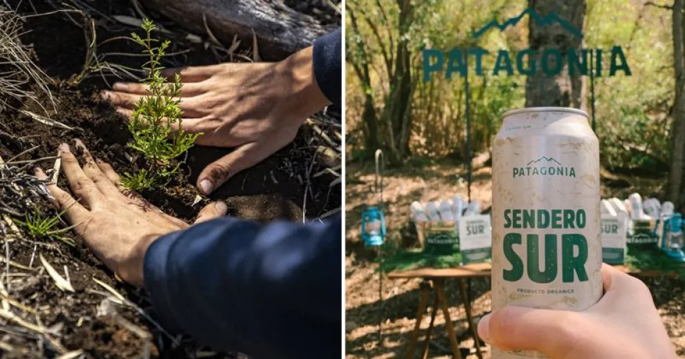 Cerveza Patagonia junto a Trown realizaron una reforestación en Bariloche