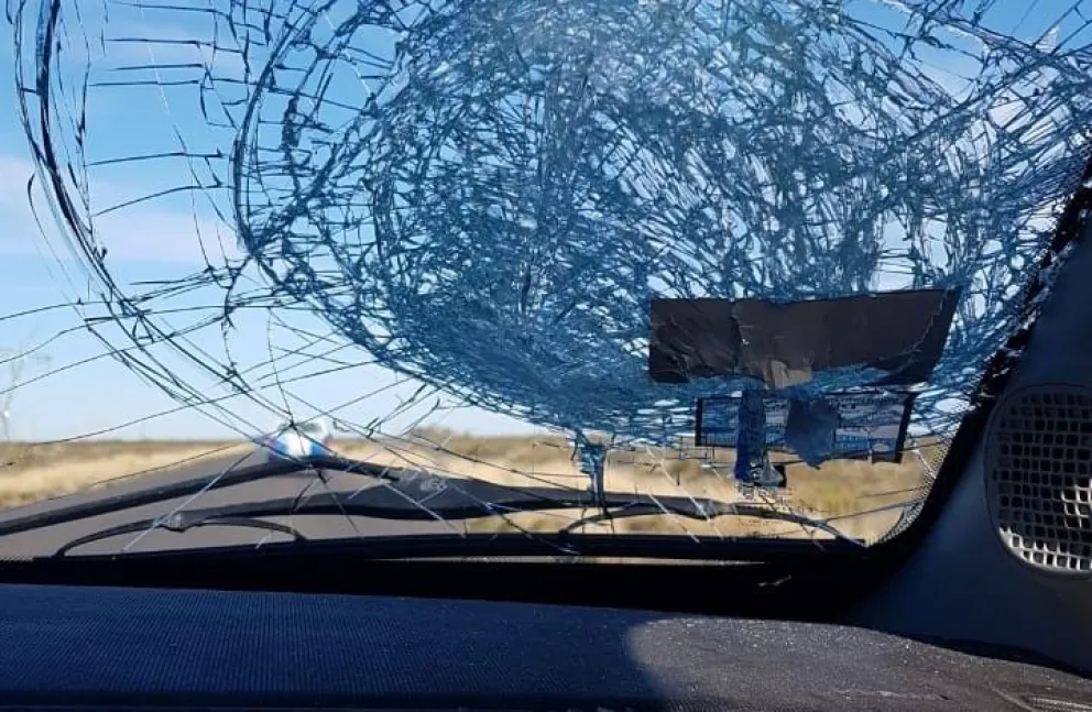 Mapuches atacaron a una familia y apuñalaron a un hombre 