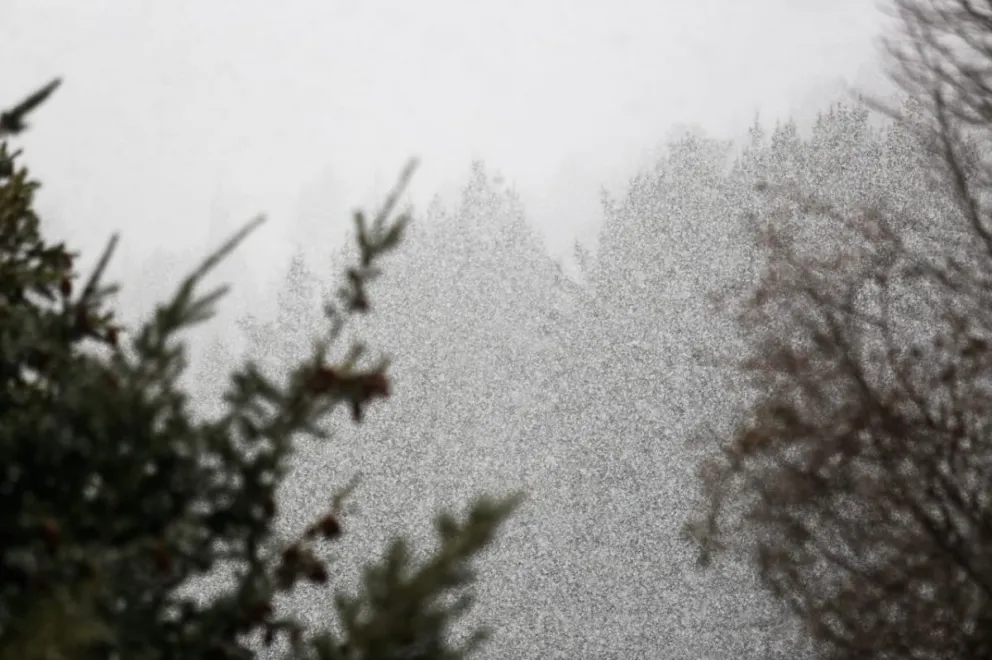 Clima de locos: ¿Viste la nevada?