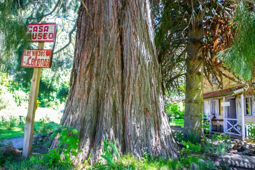Bariloche se suma el 8 de octubre al Día Nacional del Patrimonio Natural y Cultural Argentino