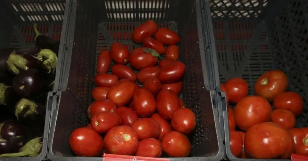 El Mercado Comunitario Municipal llega al barrio La Habana
