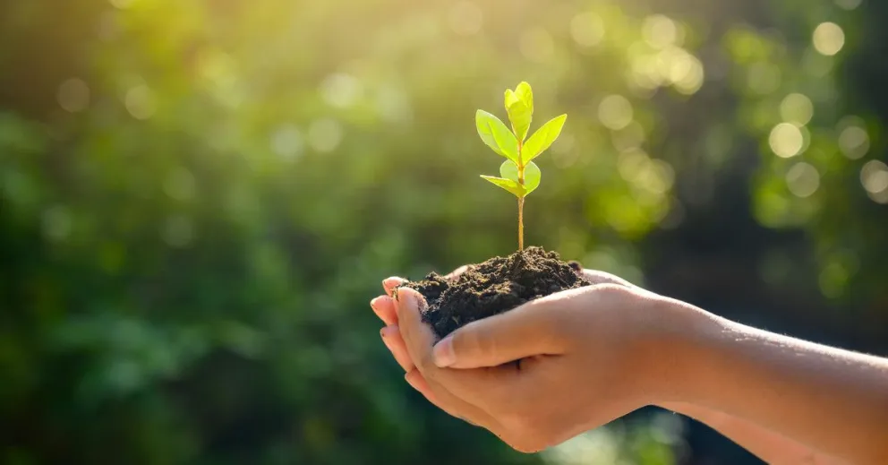 ¿Cómo mantener hábitos saludables y sustentables?