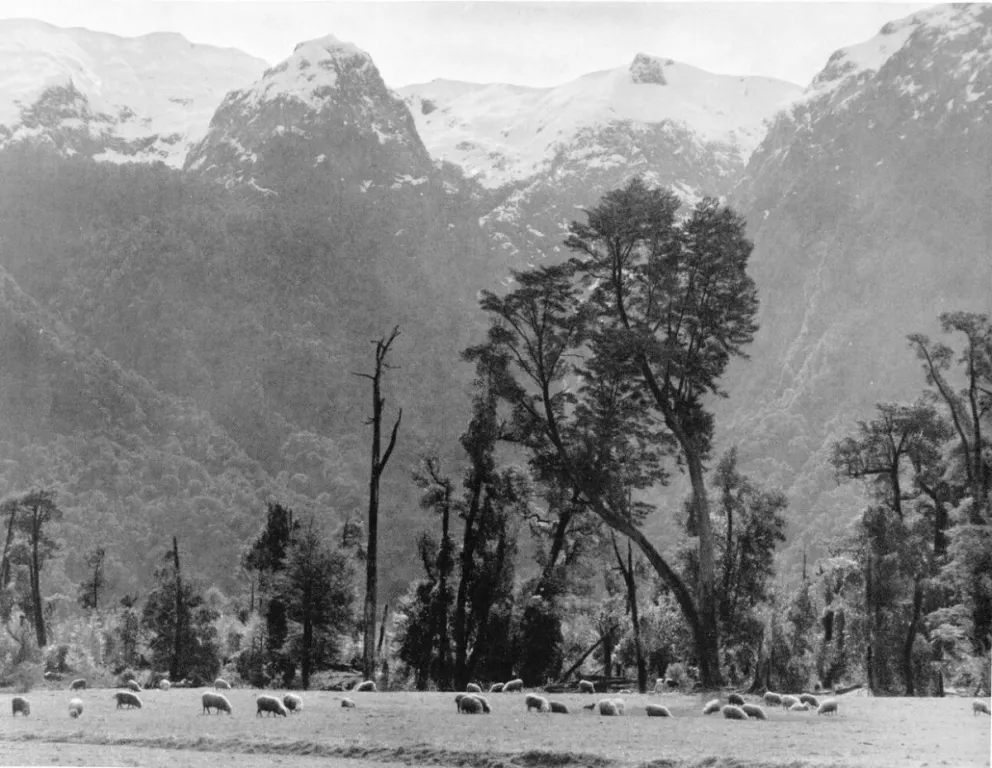 Tres hoteles, albergues y una fonda en los albores de la Bariloche hotelera
