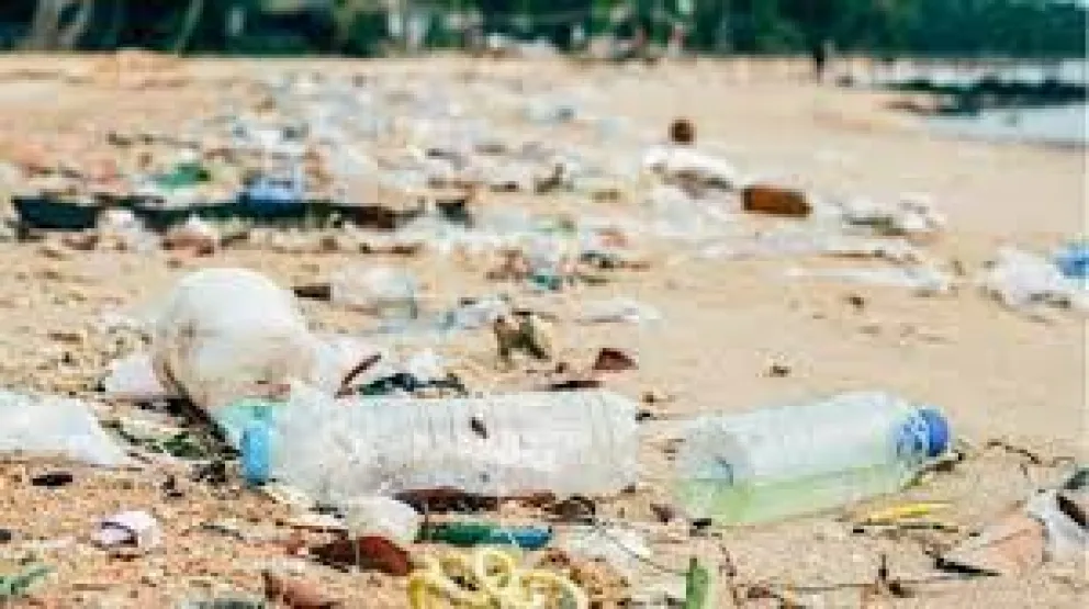 Preocupa el consumo de plásticos y sus efectos negativos en los ecosistemas