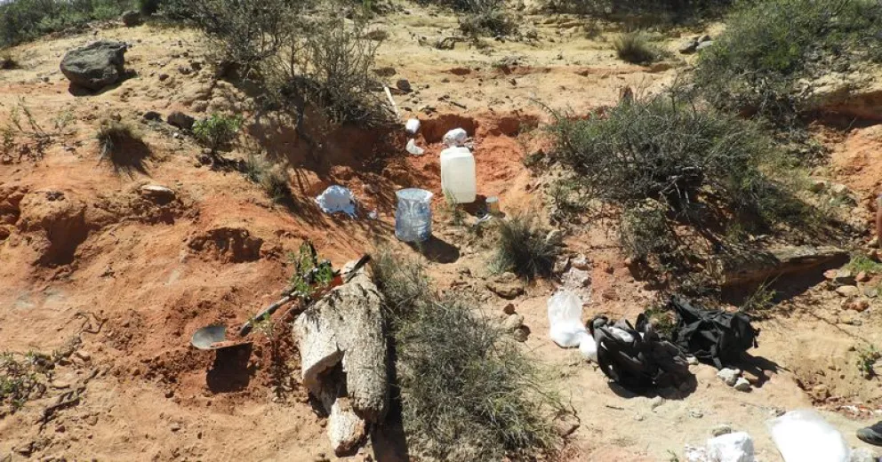 Descubren en Río Negro nuevos restos de dinosaurios de más de 70 millones de años