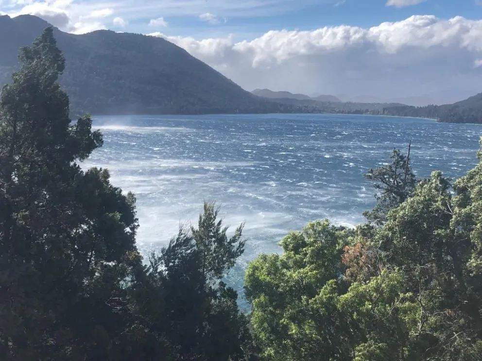 Estado de senderos y áreas luego del temporal de viento 