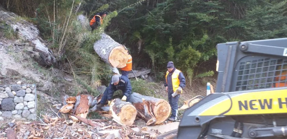 Habilitaron un tramo de la Ruta de los Siete Lagos