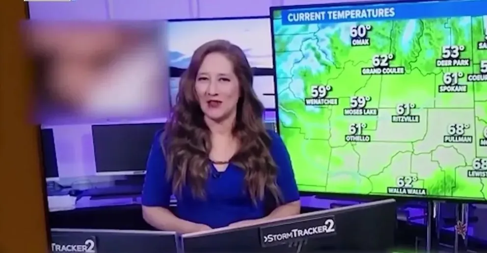 Insólito: daba el pronóstico del tiempo y apareció un video porno de fondo