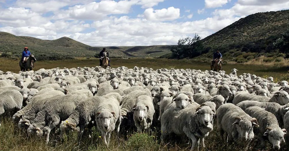 La Cámara de Diputados sancionó la prórroga por diez años más de la Ley Ovina