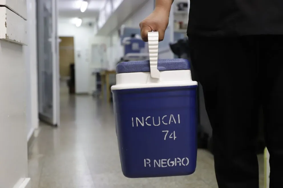 Estiman que en Bariloche fallecen ocho personas por mes que podrían donar dieciséis córneas