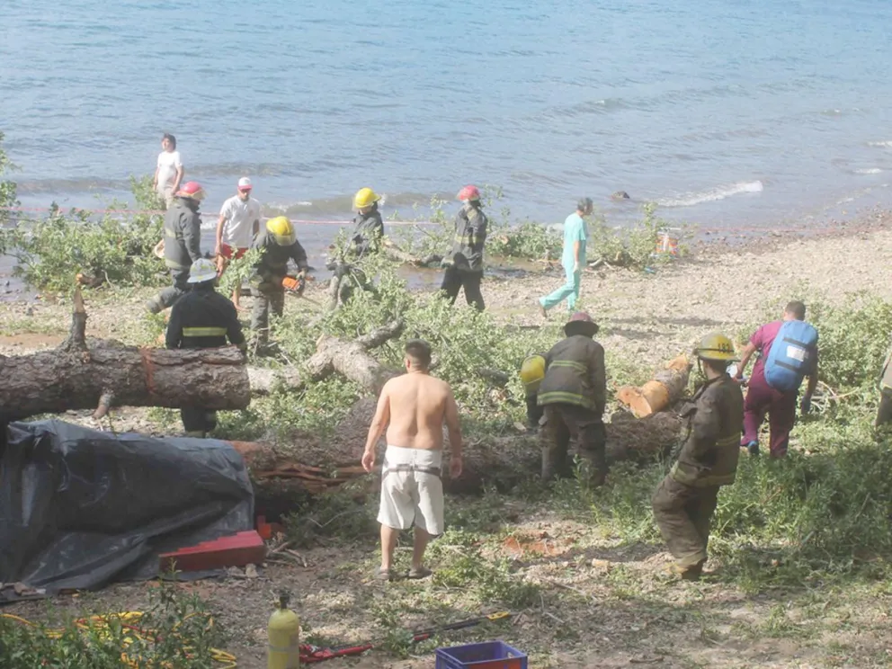 El árbol se desplomó y mató a dos menores que se encontraban en el camping Lolén. Foto de archivo