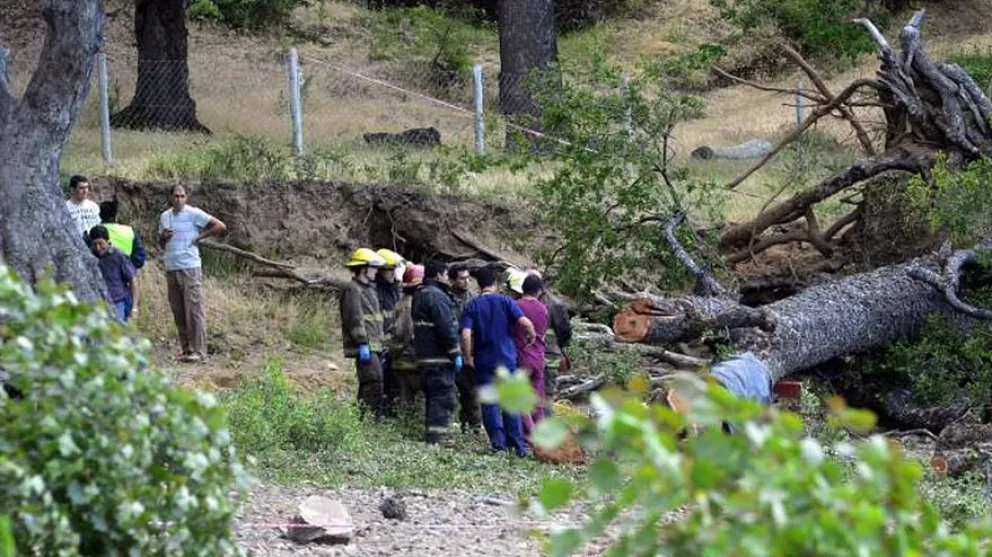 Beletzky tildó de “absoluta ignorancia” la actitud de los jueces que procesaron a cuatro guardaparques