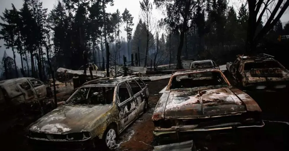 Comieron tortas fritas, no apagaron el fuego y se quemaron más de seis mil hectáreas