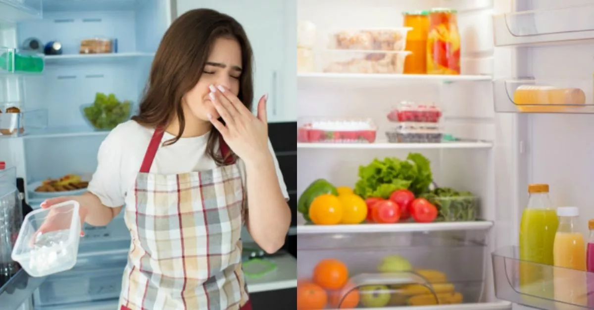 Así puedes quitarle el mal olor a tus recipientes de plásticos donde  guardas comida