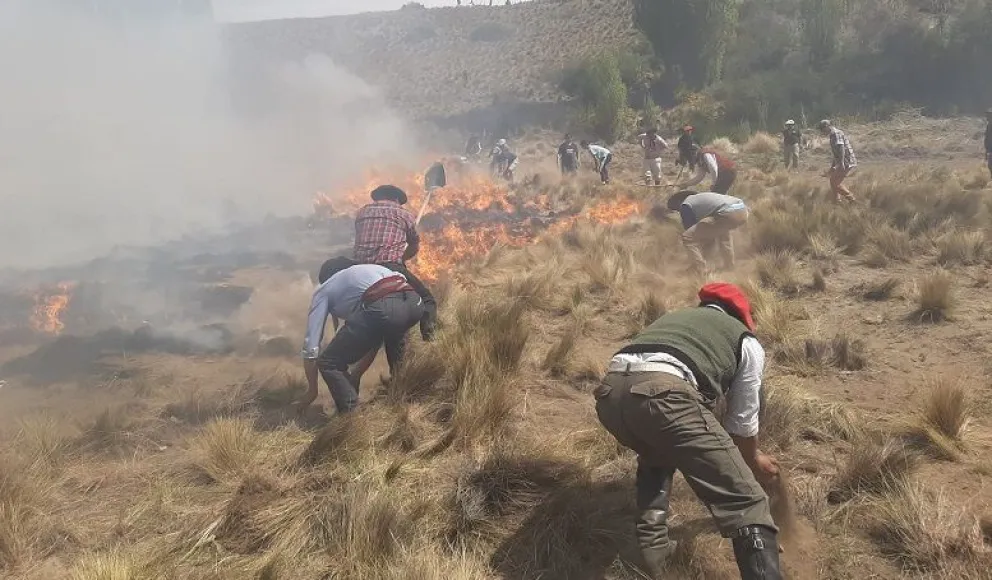 Temor durante la jineteada del Día de la Tradición por un incendio forestal